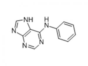 N-苯基-N-(9H-嘌呤-6-基)胺