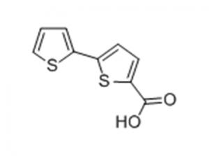 2,2-聯(lián)二噻吩-5-甲酸